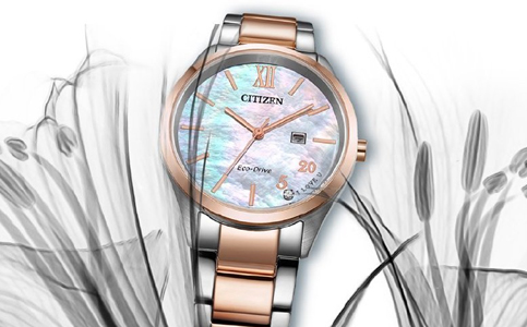 西鐵城手表進(jìn)水之后的處理清潔方法